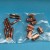Turbo Stud and Nut Kit Z16LEx A16LEx B16LEx