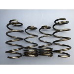 DAP Springs Road Spec - Corsa D VXR