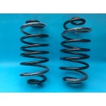 Astra J DAP Rear Springs