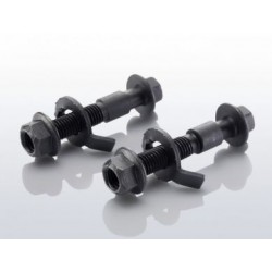 Eibach Camber Adjustment Bolts - Front