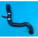 Water Hose Radiator Outlet Z20LEH