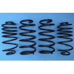 DAP Springs Road Spec - Astra H VXR