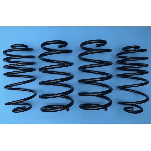 DAP Springs Road Spec - Astra H VXR