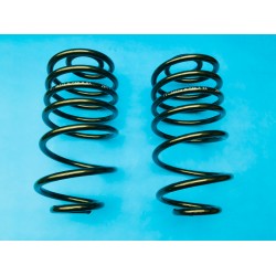 Rear DAP Road Springs Pair - Astra H VXR/Astra J VXR