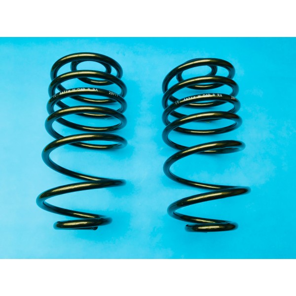 Astra H DAP Rear Springs