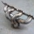 4 Branch Manifold Z22SE
