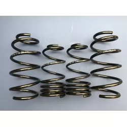 DAP Springs Road Spec - Corsa D VXR